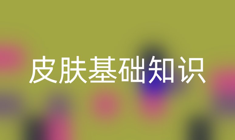 皮膚基礎(chǔ)知識